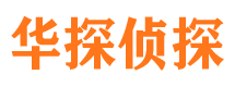 平武市侦探调查公司